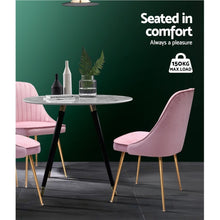 Load image into Gallery viewer, Artiss Dining Chairs Retro Chair Cafe Kitchen Modern Iron Legs Velvet Pink x2